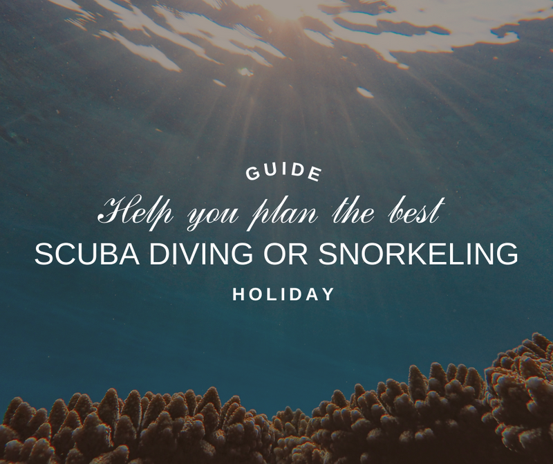 Guide to Help you Plan the Best Scuba Diving Or Snorkeling Holiday